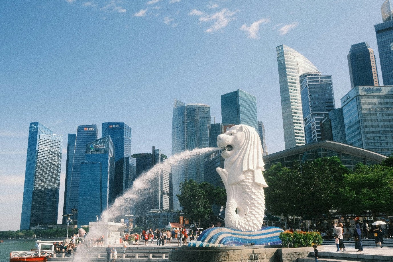 Singapore Delight